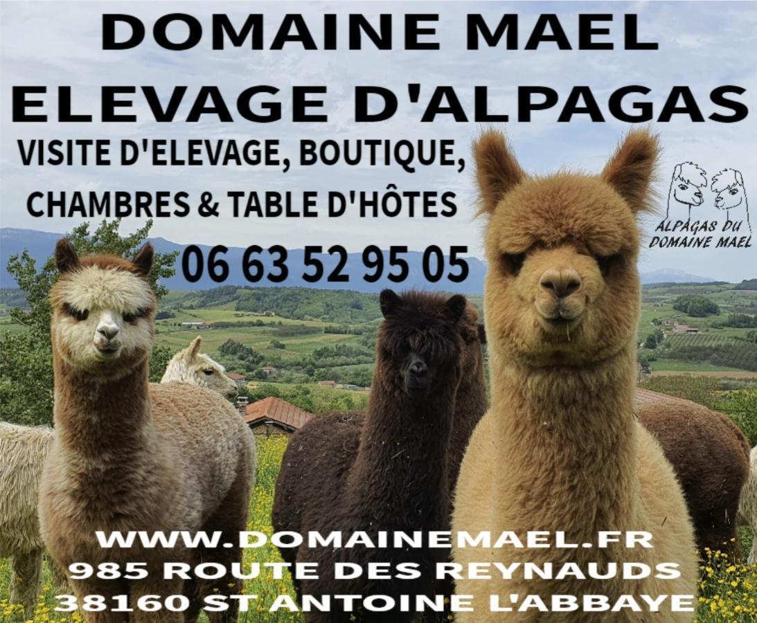 Bed and Breakfast Alpagas Du Domaine Mael Saint-Antoine  Экстерьер фото
